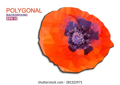 Vector floral polygonal banner of blooming poppy. Eps 10.