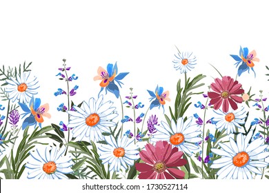 Vector floral seamless border. Summer flowers, green leaves. Chamomile, aquilegia, columbine, sage, rosemary, lavender, marigold, oxeye daisy. White, blue, pink, purple garden flowers on white.