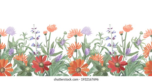 Vector floral seamless border. Summer flowers, herbs, leaves. Gaillardia, marigold, oxeye daisy, calendula,  rosemary, lavender, sage, allium. Orange, red, blue flowers isolated on a white background.