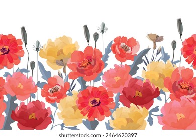 Vector floral seamless horizontal pattern, border. Poppies, peonies, zinnias flowers with buds, seeds, leaves on a white background.