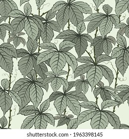 Vector floral seamless pattern background. Elegant floral texture