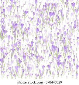 Vector floral seamless pattern background with snowdrop and crocus flowers