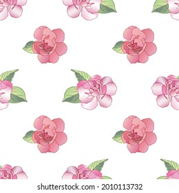 Vector floral seamless pattern with beautiful pink balzamin flowers on a white background