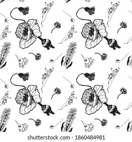 Patrón vectorial sin costura floral con flores negras sobre fondo blanco. Esbozar herbías dibujadas a mano
