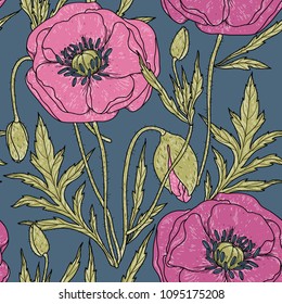 vector floral seamless pattern with blooming poppies