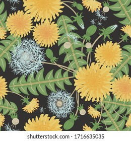 Vector floral seamless pattern with blooming dandelions, blowballs, leaves. Elegant botanical ornament on black backdrop. Abstract meadow flower background. Summer style. Repeat design for wallpapers