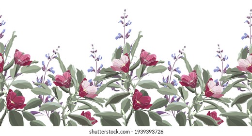 Vector Floral Seamless Pattern, Border. Green Foliage, Purple Sage, Pink And Maroon Flowers. Meadow Flowers And Herbs Isolated On A White Background.