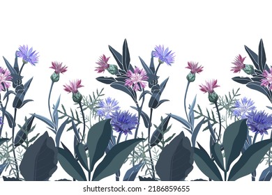 Patrón vectorial sin soldadura floral, borde. Ilustración panorámica horizontal con flores de maíz y cardos sobre fondo blanco. Diseño floral para superficies decorativas.