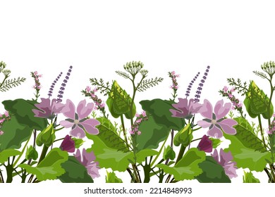 Patrón vectorial sin soldadura floral, borde. Diseño panorámico horizontal con mallow, yarrow y hyssop aislados sobre un fondo blanco. Ilustración de las flores para decorar superficies.