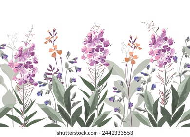 Vector floral seamless pattern, border with willow-herb. Botanical illustration. Flowers and herbs on a white background.