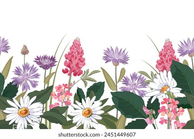 Vector floral seamless pattern, border with flowers, leaves and herbs. Daisies, lupines, cornflowers on a white background.