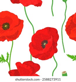 Vector Floral Seamless Pattern with Colorful Textured Illustrations of Red Poppies on White Background