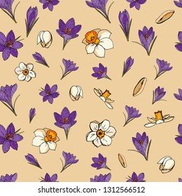 Vector floral seamless pattern with crocuses and daffodils (narcissus). Beige background