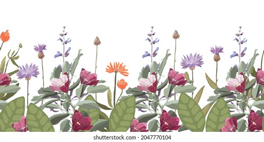 Vector floral seamless pattern, decorative border with  corneflower Centaurea, calendula, sage. Purple, violet, orange color flowers, green leaves isolated on a white background.