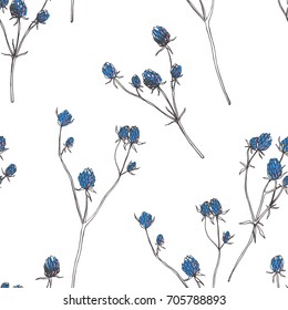 Vector floral seamless pattern.  Hand drawn botanical illustration with steppe grass isolated on white