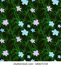 Vector floral seamless pattern. Illustration of little cute colored flowers. Blue and pink florets on the dark background with grass elements