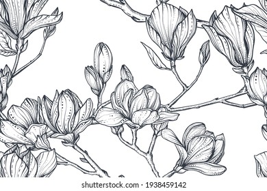 Vector floral seamless pattern of magnolia branches and flowers. Romantic elegant endless background