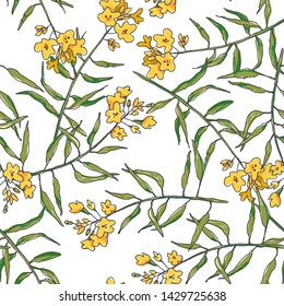 Vector floral seamless pattern with mustard branches isolated on white. Hand drawn botanical texture with yellow flowers. Herb in sketch style.