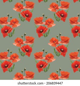 Vector floral seamless pattern with poppies on gray background..