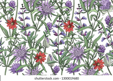 Vector floral seamless pattern with purple oyster plant (vegetable oyster), allium (chive), sage, red gaillardia aristata isolated on a white background.