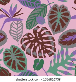 Vector floral seamless pattern with tropical Monstera leaves,Flamingo flower and exotic foliage. Bright botanical pattern with Palm leaves.Backdrop for wallpaper, fabric, textile, wrapper or surface.