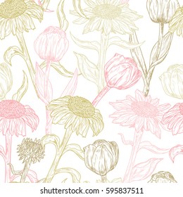 Vector Floral seamless pattern. Vintage background with Hand Drawn Tulips and Echinacea Purpurea Flowers. 