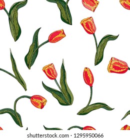 Vector floral seamless pattern whit red tulip. White background