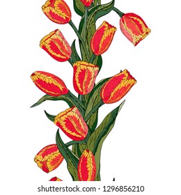 Vector floral seamless pattern whit red tulip. White background