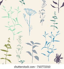 Vector floral seamless pattern with wild meadow flowers, herbs and grasses. Thin delicate line silhouettes of different plants like sunflowers and basil.