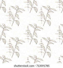 Vector floral seamless pattern with wild meadow  herbs . Thin delicate line silhouettes in small bouquets on geometric background. 