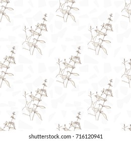 Vector floral seamless pattern with wild meadow  herbs . Thin delicate line silhouettes in small bouquets on geometric background.
