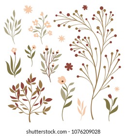 Vector floral set