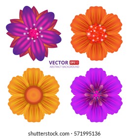 Vector floral Set of beautiful colorful flowers Isolated on a white background. Vector illustration.