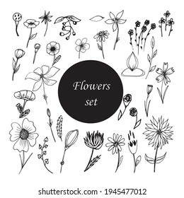 The vector is floral.  Set of black line art flowers, contour flower illustrations.