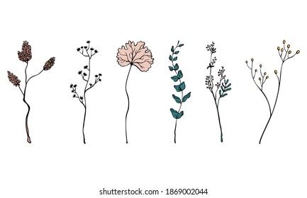 Vektor Blumenmuster Äste und Blätter. Blumenelemente für minimalistisches Kartendesign oder Logo 