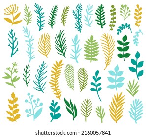 Vector floral set with branches and leaves. Botanical collection with natural elements. Natural hand drawn doodles of wild grasses. Isolated on white