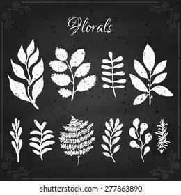 Vector floral set. Floral collection with leaves and branches. Spring or summer design for invitation, wedding or greeting cards on chalkboard