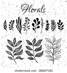 Vector floral set. Floral collection with leaves and branches. Spring or summer design for invitation, wedding or greeting cards.