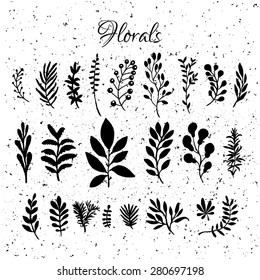 Vector floral set. Floral collection with leaves and branches. Spring or summer design for invitation, wedding or greeting cards.