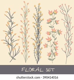 Vector floral set. Collection with leaves and flowers. Spring or summer design for invitation, wedding or greeting cards.