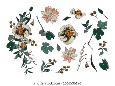 Vector floral set. Colorful floral collection with leaves and flowers, drawing watercolor. Spring or summer design for invitation, wedding or greeting cards. 