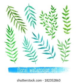 Vector floral set. Colorful collection with leaves and flowers, drawing watercolor. Spring or summer design