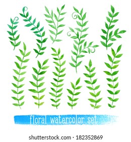Vector floral set. Colorful collection with leaves and flowers, drawing watercolor. Spring or summer design