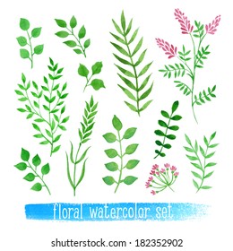 Vector floral set. Colorful collection with leaves and flowers, drawing watercolor. Spring or summer design