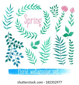 Vector floral set. Colorful collection with leaves and flowers, drawing watercolor. Spring or summer design