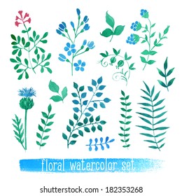 Vector floral set. Colorful collection with leaves and flowers, drawing watercolor. Spring or summer design