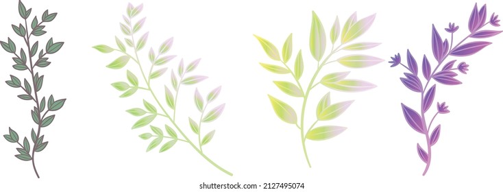 Vector floral set. Colorful floral collection with leaves and flowers, drawing watercolor. Spring or summer design.