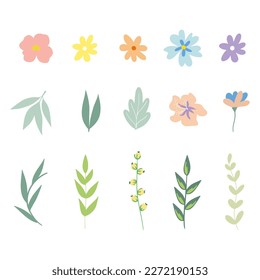 Vector floral set. Colorful floral collection with leaves and flowers, drawing watercolor. Spring or summer design for invitation, wedding or greeting cards