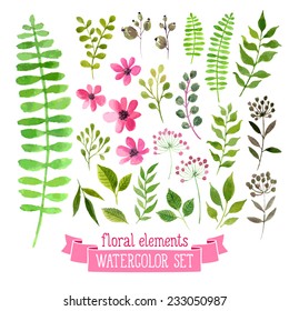 Vector floral set. Colorful floral collection with leaves and flowers, drawing watercolor. Spring or summer design for invitation, wedding or greeting cards