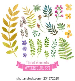 Vector floral set. Colorful floral collection with leaves and flowers, drawing watercolor. Spring or summer design for invitation, wedding or greeting cards